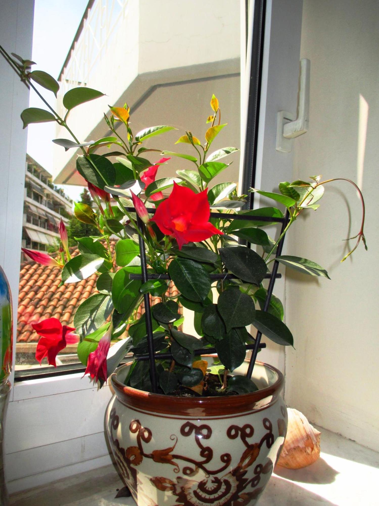 Nomads Rooms Trikala  Exterior photo